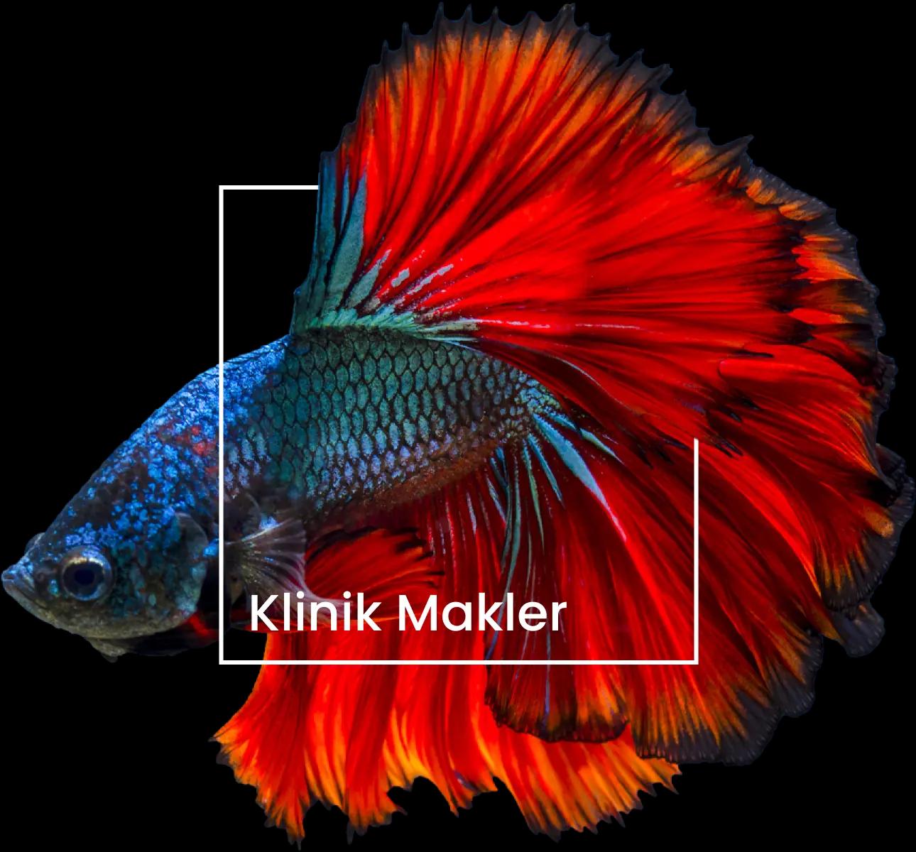 Designprojekt KlinikMakler Fish Viereck